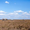 TZA SHI SerengetiNP 2016DEC24 NamiriPlains 052 : 2016, 2016 - African Adventures, Africa, Date, December, Eastern, Month, Namiri Plains, Places, Serengeti National Park, Shinyanga, Tanzania, Trips, Year